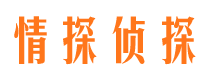 东城市私家侦探